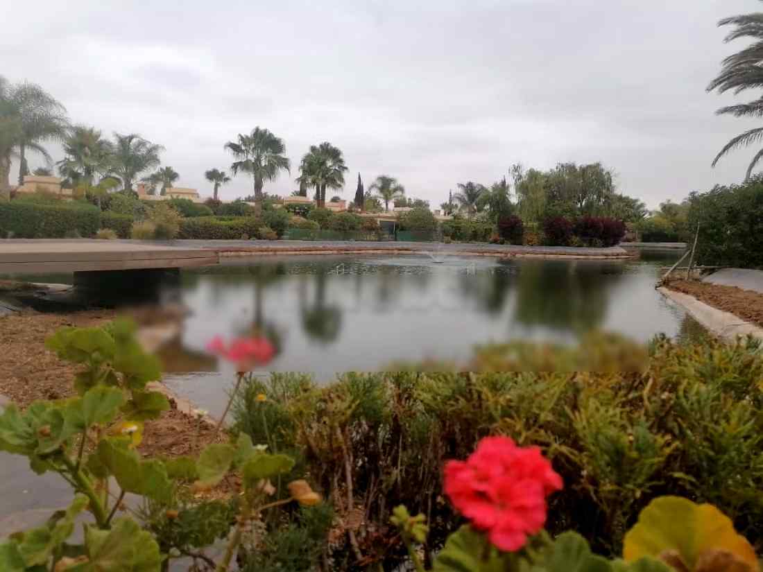 Appartements de vacances à louer  - Hay Houda, Agadir - Photo 385