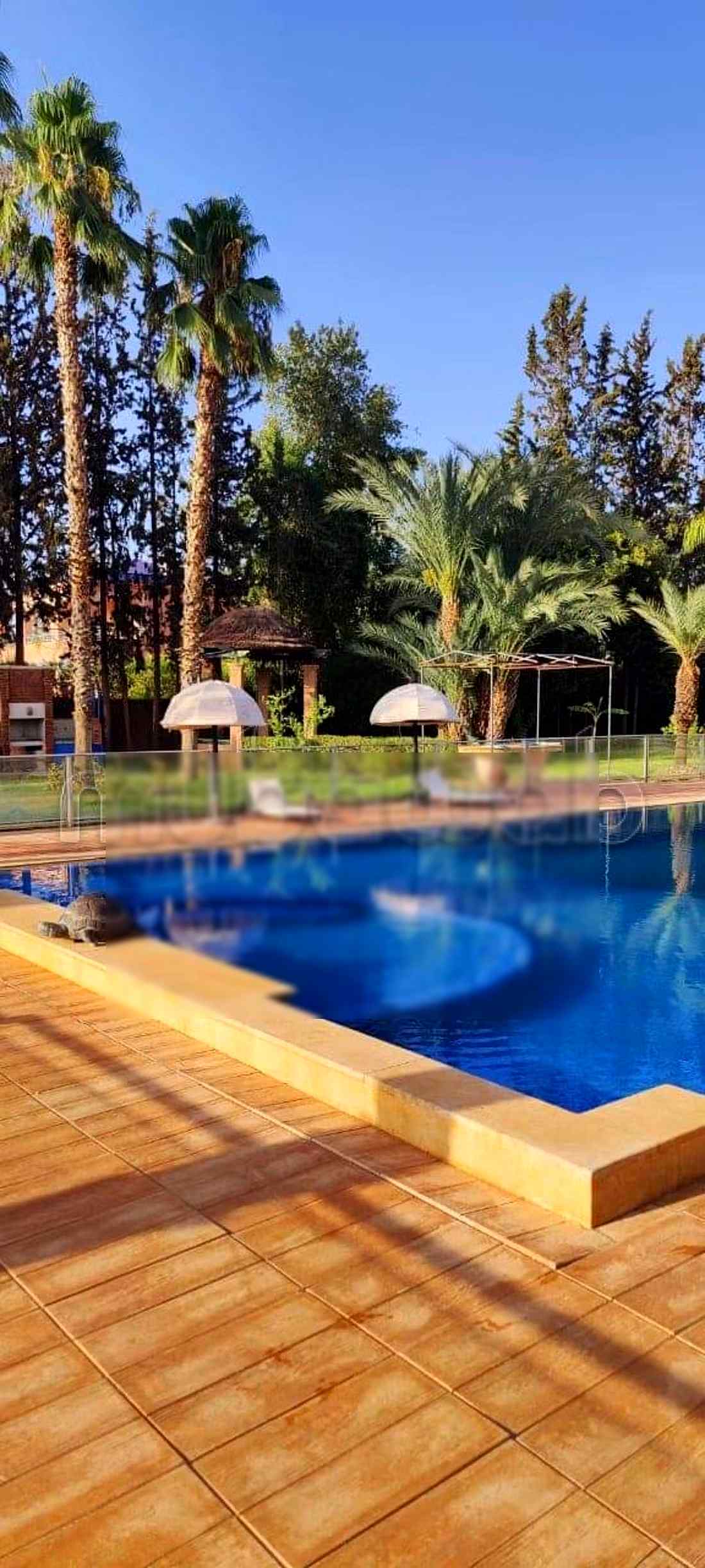 Maison de luxe à louer à Route de Fez. 5 grandes pièces. Cheminée et concierge - Photo 10