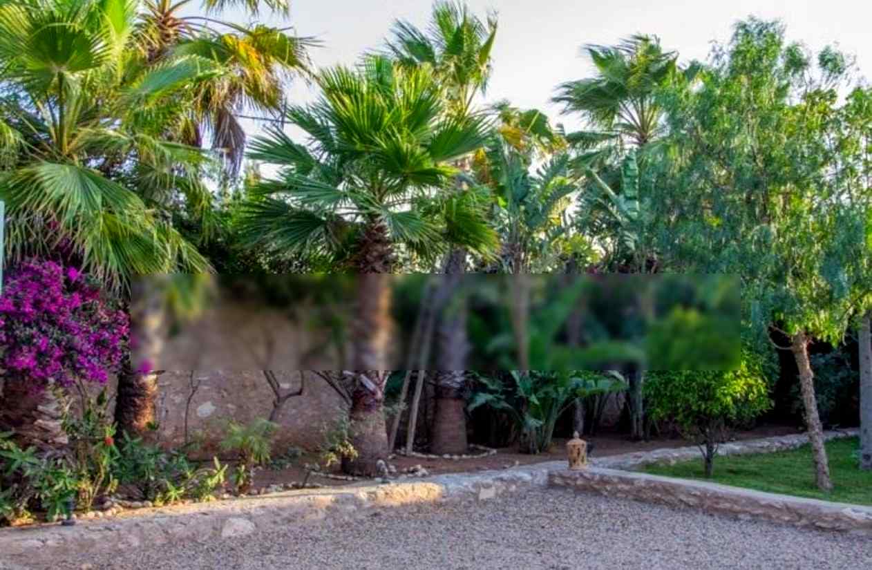 Magnifique villa avec piscine privée à 10min d'Essaouira - Photo 19