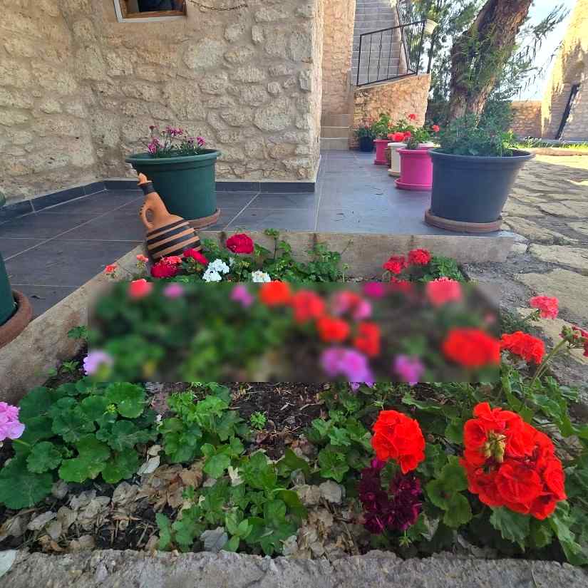 Villa de charme avec piscine sans vis à vis - Photo 27
