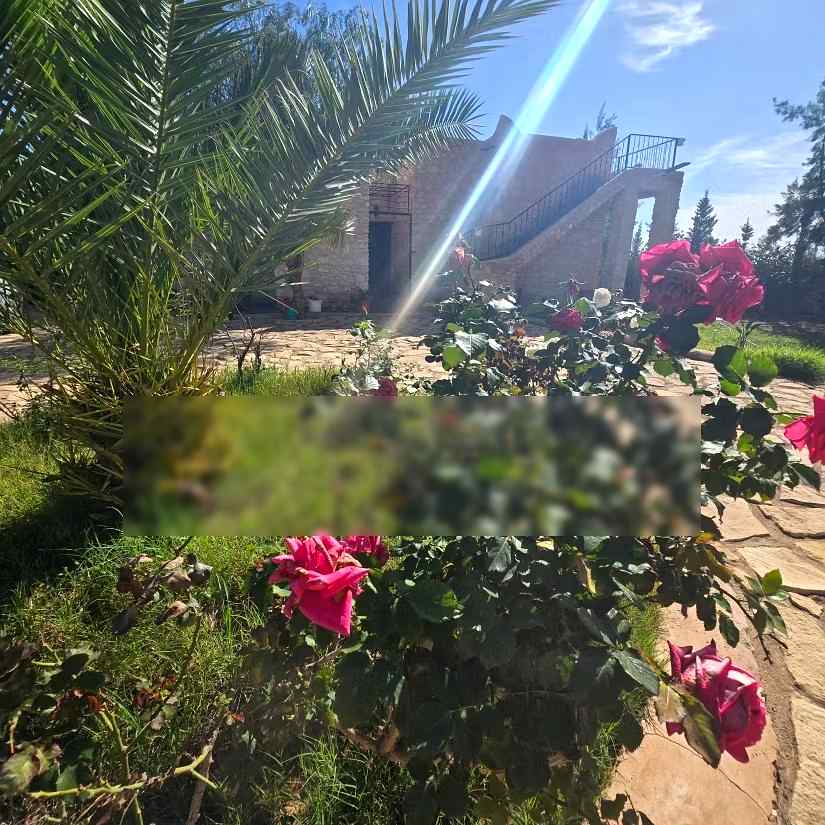 Villa de charme avec piscine sans vis à vis - Photo 30