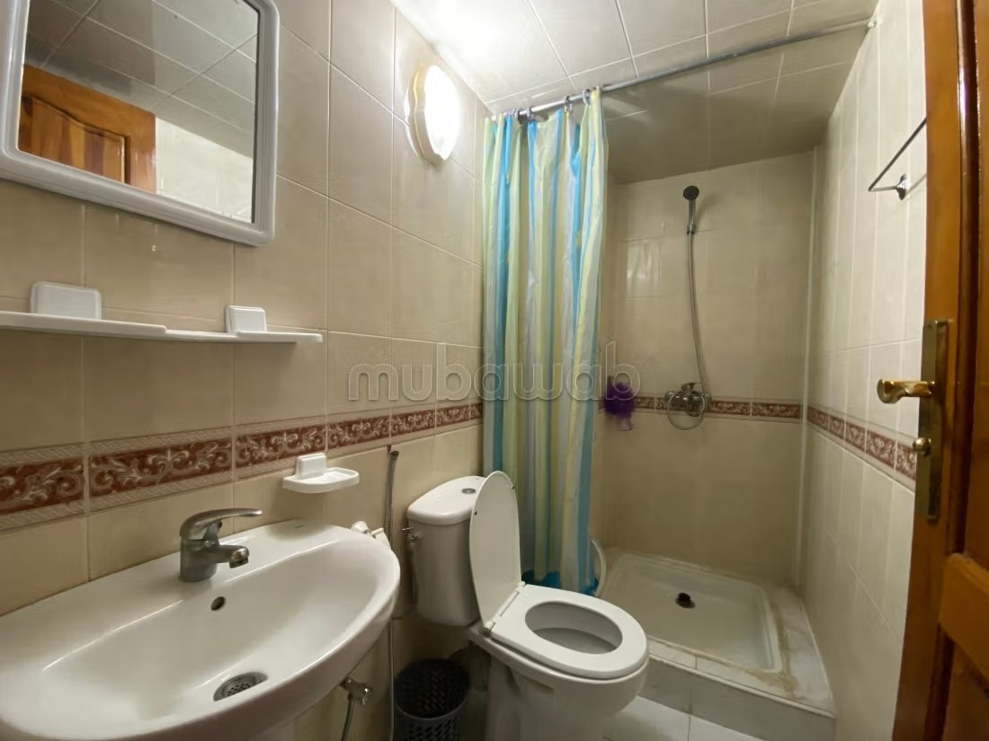 Location saisonnière en Centre. 
4 grandes pièces. 
Salon Marocain et antenne parabolique - Photo 8