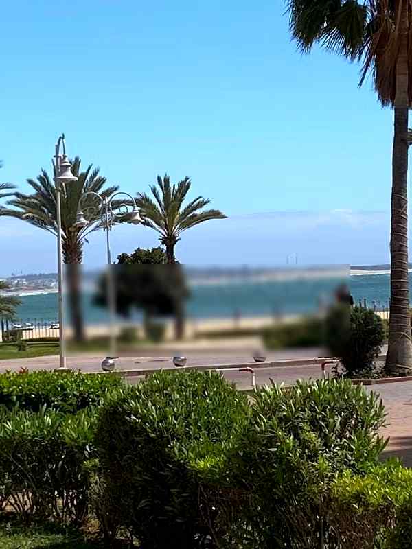Appartements de vacances à louer  - Hay Dakhla, Agadir - Photo 349