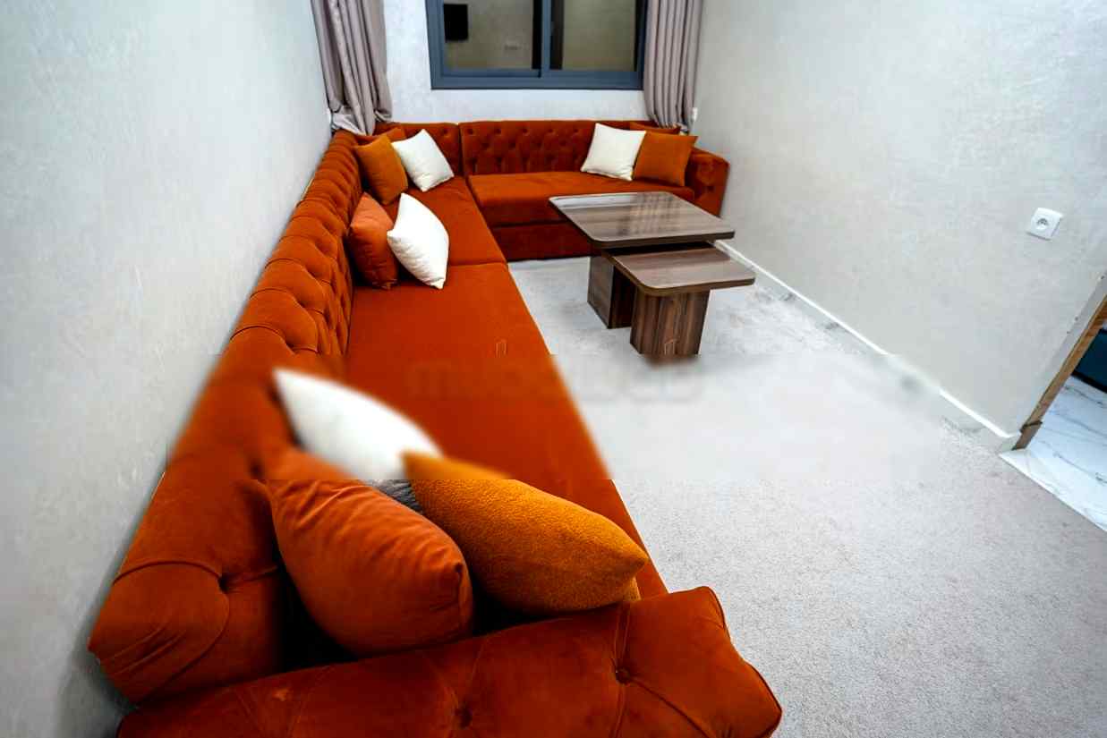 Appartement 2 chambre élégant a louer
