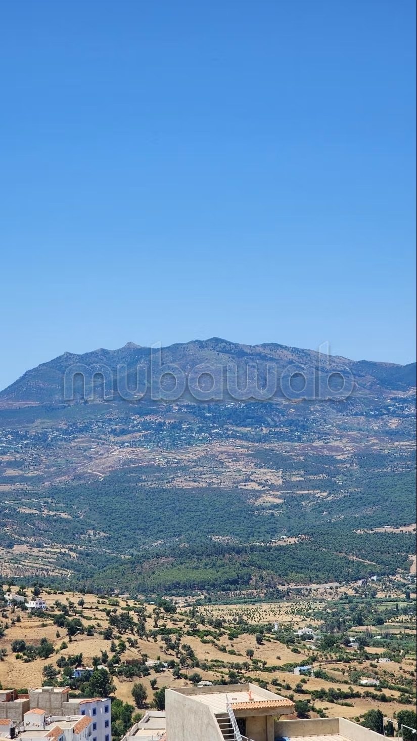 Appartement 2 chambres avec vue imprenable sur les