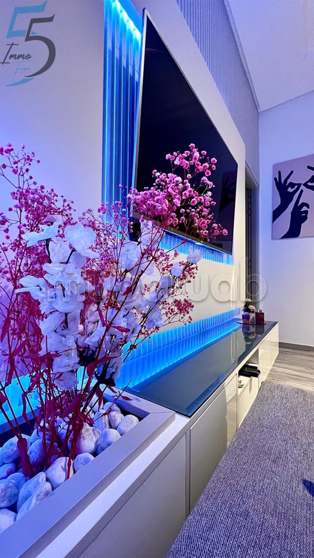 Appartement Meuble De Luxe En Location Courte Durée Branes2