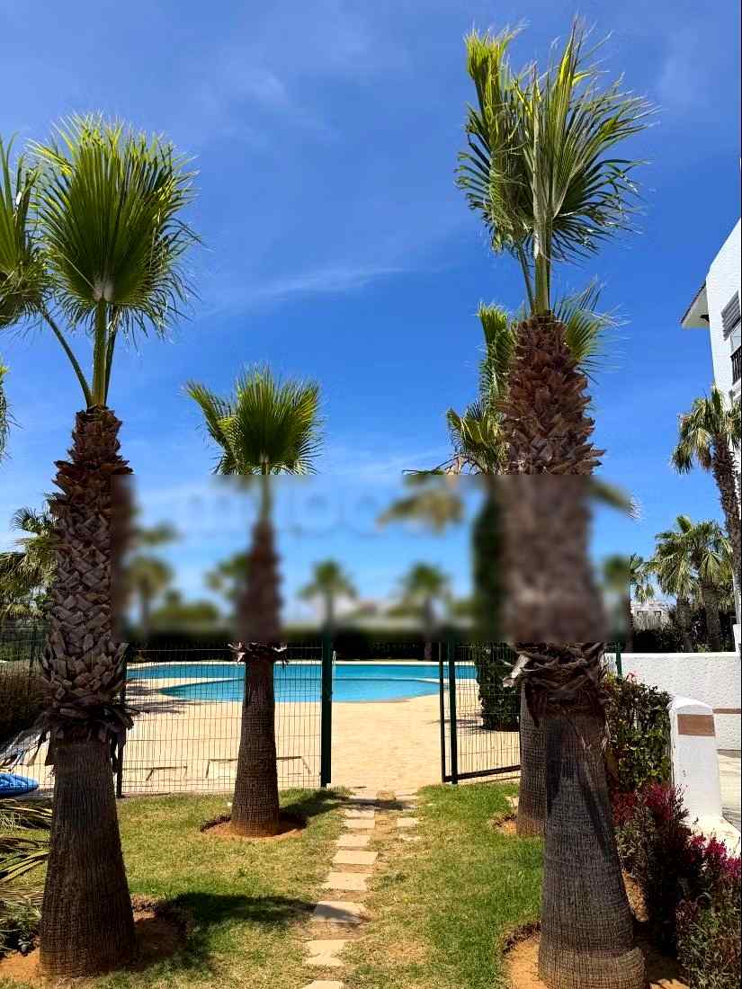 Appartement Marina Golf - Photo 4